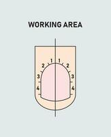 Guide to professional manicure, Vector, infographics. Training of masters of manicure. Working area vector
