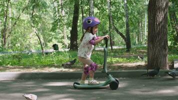 niña 3 años antiguo paseos un scooter en protector ropa video