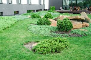 backyard with landscaping. photo