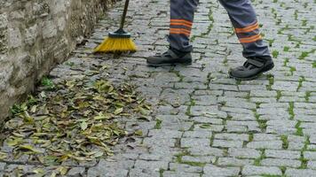 cleaning the fallen leaves in the park video