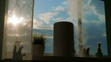 un trabajando humidificador soportes en el ventana mientras luz de sol brilla en él. video