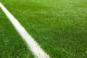 White line on a soccer field grass photo