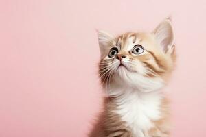 AI generated Playful funny kitten looking up. AI Generated photo