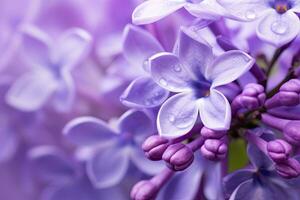 AI generated Lilac blossom macro background with copy space. AI Generated photo