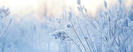 AI generated Frozen snowy grass, winter natural abstract background. beautiful winter landscape. AI Generated photo