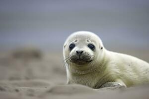 AI generated Harbor seal cub. AI Generated photo