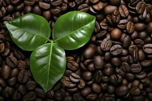 AI generated Green leaves with coffee beans as background. AI Generated photo