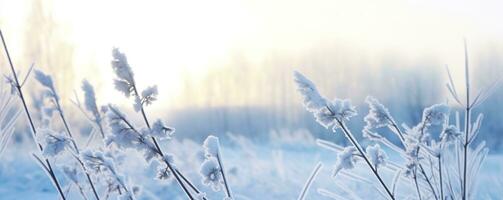 AI generated Frozen snowy grass, winter natural abstract background. beautiful winter landscape. AI Generated photo