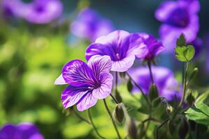 AI generated Geranium wilfordii flower. photo