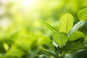 AI generated Nature of green leaf in a garden in summer under sunlight. Spring background. AI Generated photo