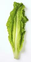 AI generated Lettuce isolated on white background. AI Generated photo