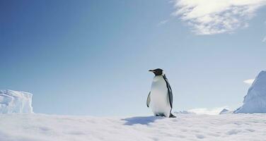 AI generated Penguin standing in Antarctica looking into the blue sky. AI Generated photo