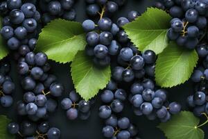 AI generated Flat lay background of vines, lots of organic blue dark grapes. AI Generated photo