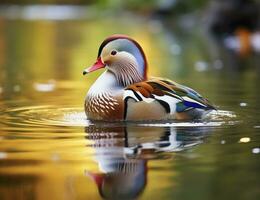 ai generado de cerca de mandarín Pato nadando en lago. generativo ai. foto