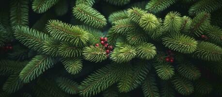 AI generated Christmas tree branches on a natural background. AI Generated photo