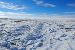 AI generated Endless snow-covered steppe under a cloudy sky. Dry plants stick out from under the snow. Snowy mountains on the horizon photo