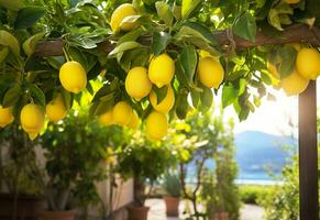 ai generado limones creciente en un soleado jardín en amalfi costa en Italia. ai generado foto