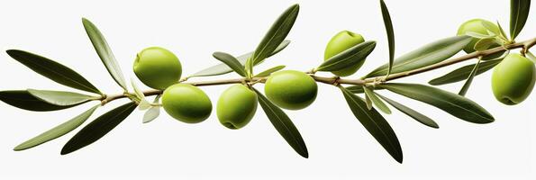 AI generated Olive tree branch, green olives and leaves on white background. AI Generated. photo