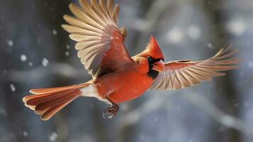 AI generated Northern Cardinal coming in for a landing. Generative AI photo