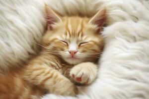 AI generated Red kitten, cat sleeping cute on white fur. Generative AI photo