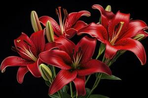 AI generated Red Lilies on black background. AI Generated photo