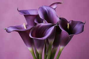 AI generated Bouquet of purple calla lilies against purple background.AI Generated photo