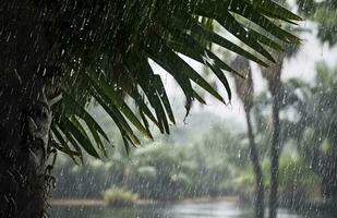 ai generado lluvia en el zona tropical durante el bajo temporada o monzón estación. gotas de lluvia en un jardín. generativo ai foto