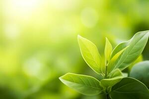 AI generated Nature of green leaf in a garden in summer under sunlight. Spring background. AI Generated photo