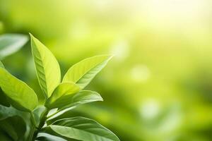 AI generated Nature of green leaf in a garden in summer under sunlight. Spring background. AI Generated photo
