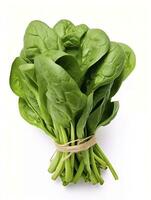 AI generated Bunch of spinach isolated on white background. photo