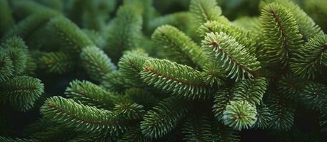 AI generated Close up view of a Christmas tree branches on a natural background. photo