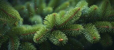 AI generated Close up view of a Christmas tree branches on a natural background. photo