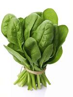 AI generated Bunch of spinach isolated on white background. photo