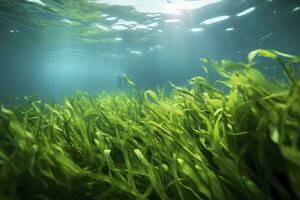 AI generated Underwater view of a group of seabed with green seagrass. AI Generated photo