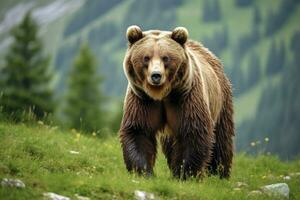 AI generated Brown bear moving on the green meadow in springtime nature. AI Generated photo