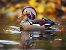 ai generado de cerca de mandarín Pato nadando en lago. generativo ai. foto