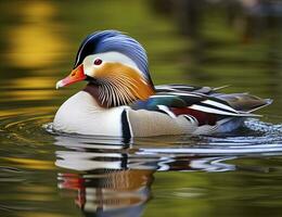 ai generado de cerca de mandarín Pato nadando en lago. generativo ai. foto