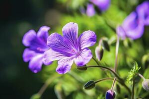 AI generated Geranium wilfordii flower. AI Generated photo