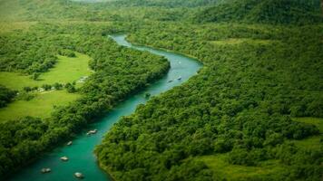 AI generated Create a detailed map of the absolute green tree nature background, highlighting key features, biodiversity hotspots, and the migratory routes of the colorful birds. photo