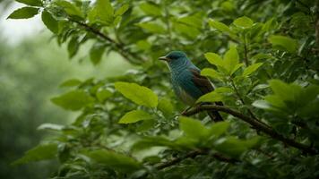 ai generado explorar el coevolutivo relaciones Entre específico árbol especies y el vistoso aves, destacando cómo cada tiene conformado el otros caracteristicas terminado tiempo. foto