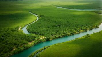 ai generado crear un detallado mapa de el absoluto verde árbol naturaleza fondo, destacando llave características, biodiversidad Puntos calientes, y el migratorio rutas de el vistoso aves. foto