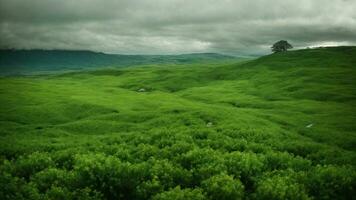 AI generated Examine the influence of climate change on the delicate balance of this green ecosystem, considering both the flora and fauna. photo