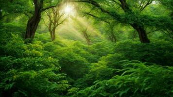 AI generated Describe the intricate patterns of sunlight filtering through the dense foliage of the absolute green tree nature background, highlighting the vibrant ecosystem below. photo