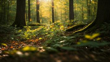 AI generated Illustrate the mesmerizing dance of sunlight filtering through the leaves, portraying the play of light and shadow on the forest floor. photo