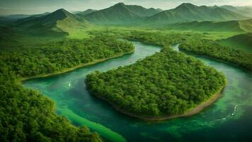 ai generado crear un detallado mapa o diagrama de el absoluto verde árbol naturaleza fondo, etiquetado llave caracteristicas tal como agua fuentes, anidamiento sitios, y migratorio rutas de el vistoso aves, pags foto