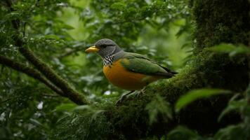 ai generado analizar el fisiológico adaptaciones de el aves en el absoluto verde árbol ambiente, enfoque en aspectos tal como pico forma, pluma estructura, y anidamiento hábitos foto