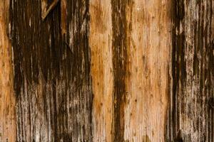 Old wood texture background, surface with old natural colored wood, top view. Grain table surface. photo