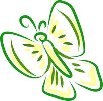 A butterfly vector or color illustration