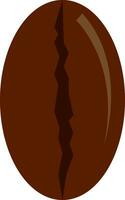 A coffee bean vector or color illustration