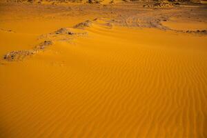 Landscape of sahara desert in Egypt. Conceptual for freedom, enjoying the journey. photo